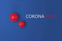 Aggiornamento Coronavirus: chiusura delle scuole confermata
