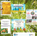 21 novembre, festa degli alberi: a Calderara un'intera giornata dedicata all'ambiente