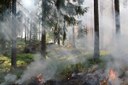 Incendi boschivi: fino al 30 settembre la "fase di attenzione"