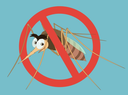 Lotta alla zanzara, il piano del Comune per l'estate 2021