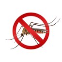 Lotta alla zanzara: tutte le regole in un'ordinanza del Sindaco